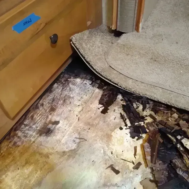 Wood Floor Water Damage in Saint Charles, MD